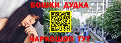 apvp Дубна
