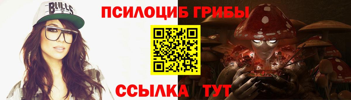 Галлюциногенные грибы Psilocybe  Вход с VPN  Галлюциногенные грибы MAGIC MUSHROOMS  Сокол 